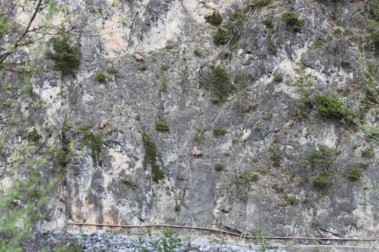 Al Bait De Gio Apartman Bormio Kültér fotó